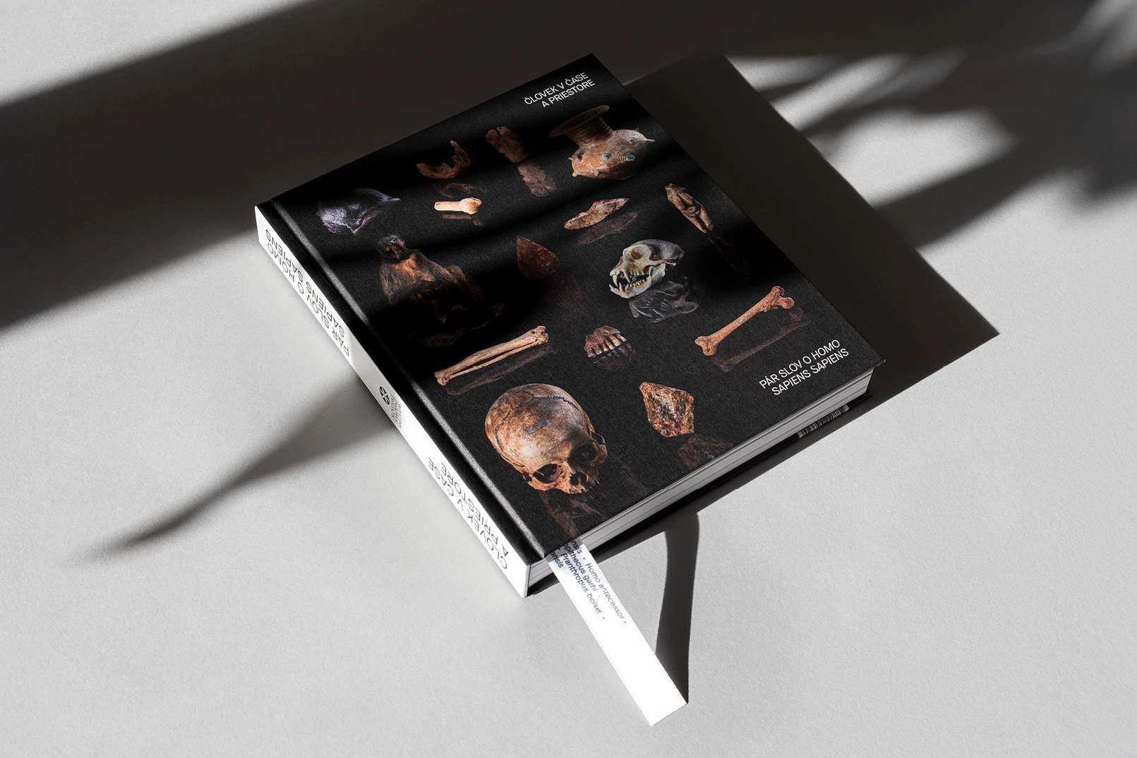 Pár slov o homo sapiens sapiens