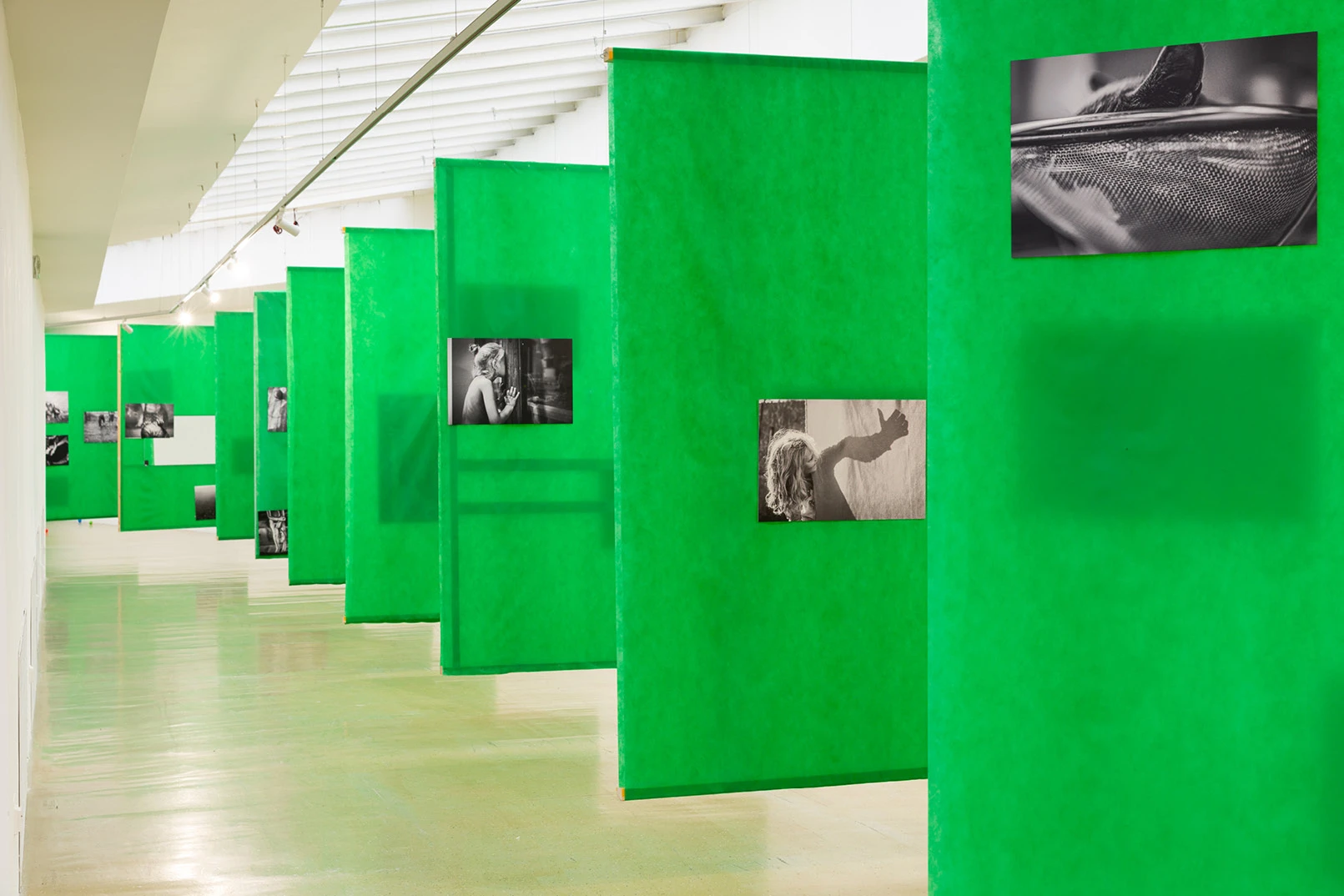 Start art V & VI